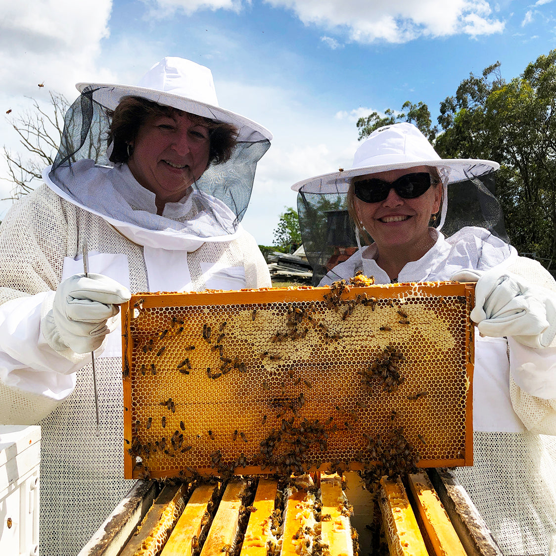Bee Farm Tour Experience | Geebung, Brisbane, QLD