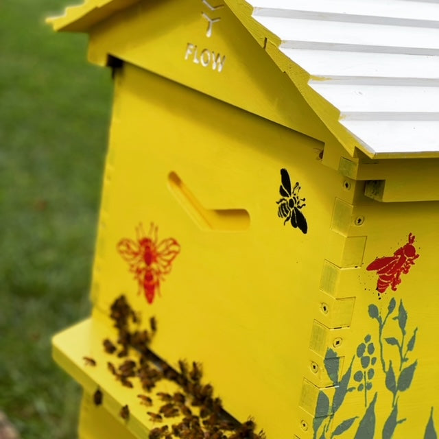 happy-bees-for-sale-for-your-flow-hive-two-busy-bees-honey-8