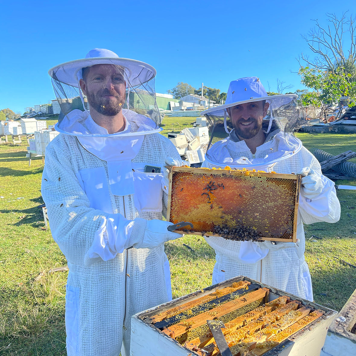 Bring your third wheel for free! Bee Farm Tour Experience (Strictly limited time only)