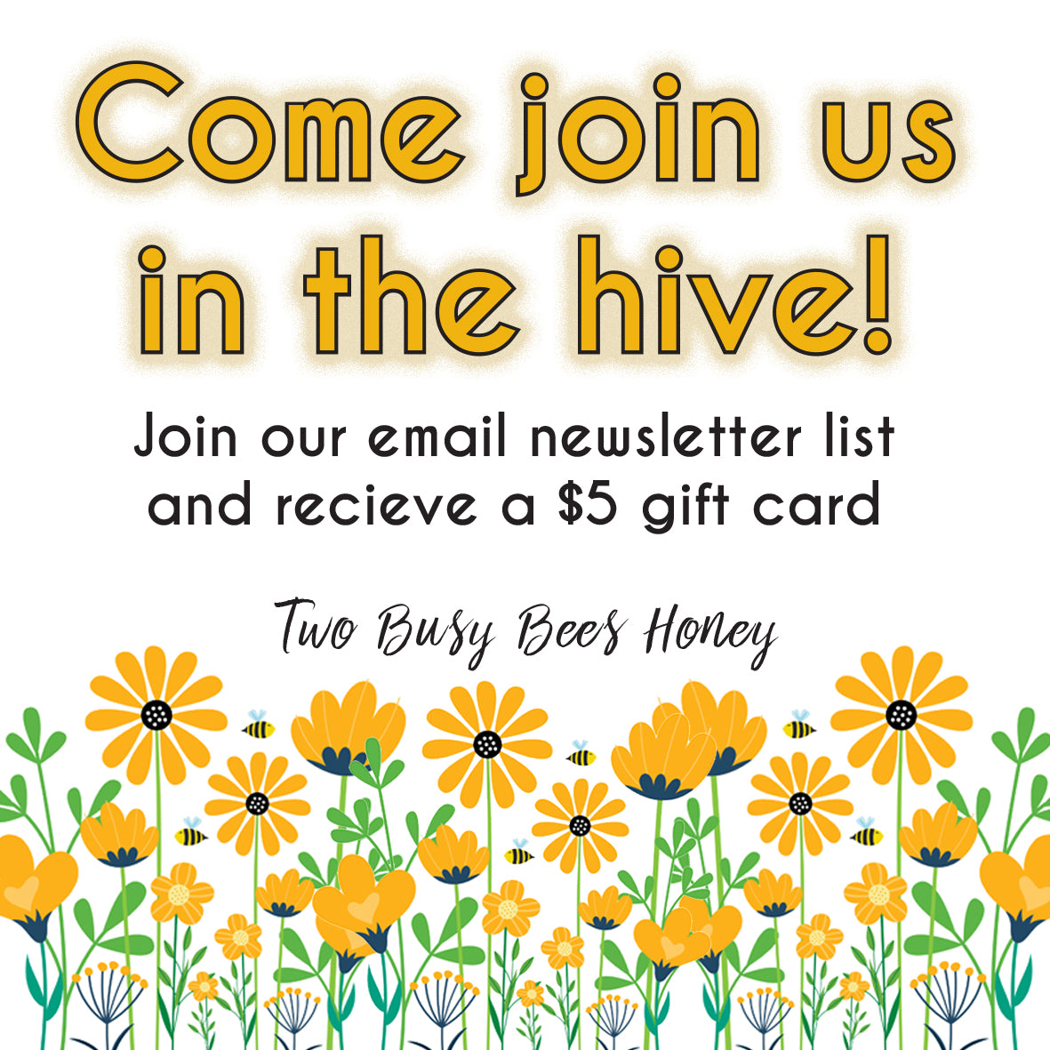 Email Newsletter Subscription - Two Busy Bees Honey