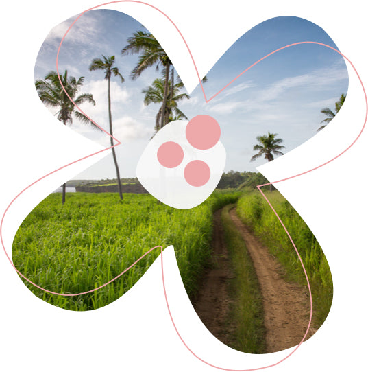 Creamed Honey infused with vanilla bean paste from Two Busy Bees Honey