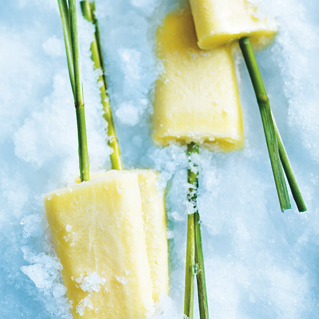 Pineapple-Coconut-and-Lemongrass-Popsicles-two-busy-bees-honey